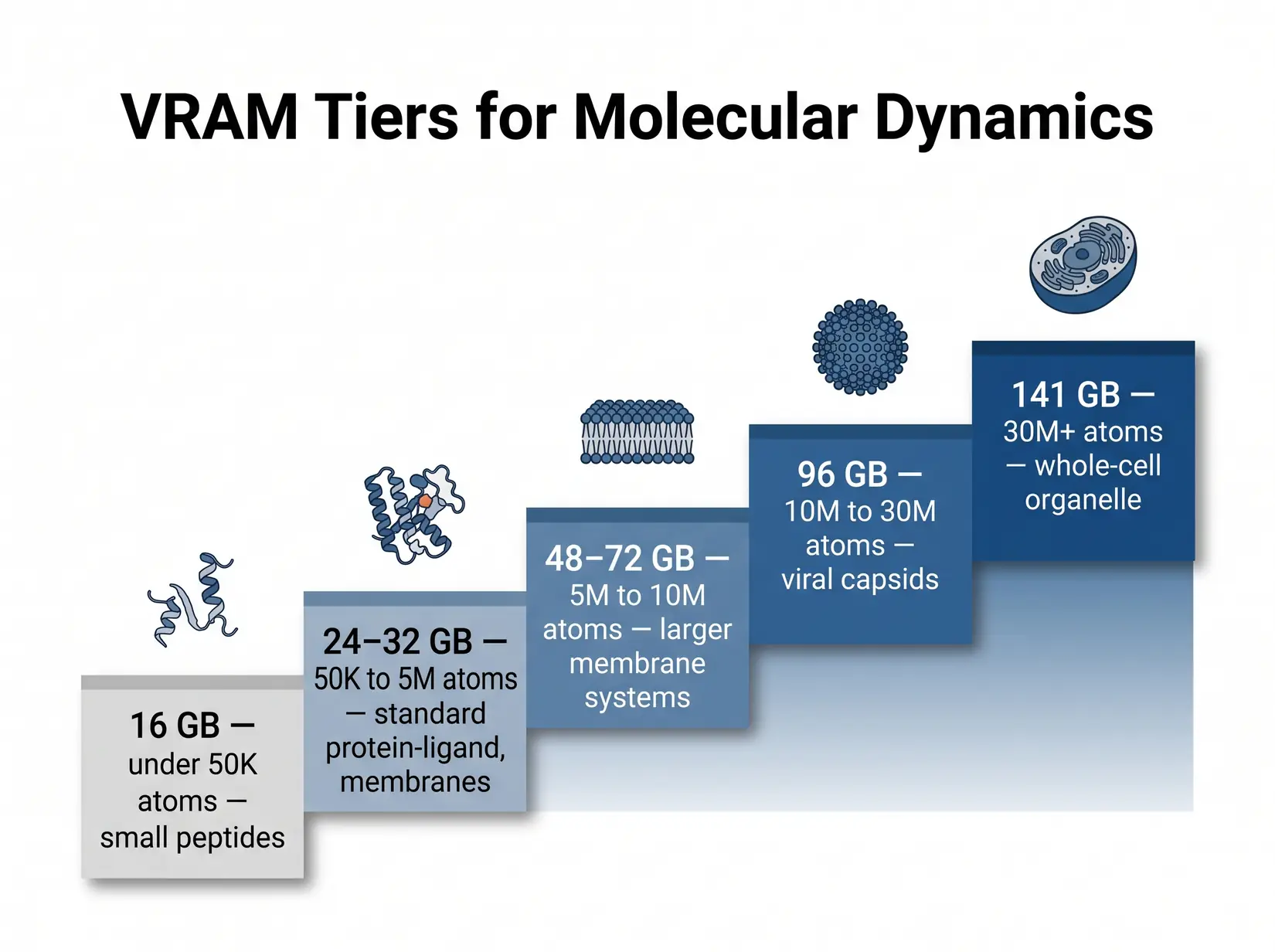 VRAM tier staircase for MD from 16 GB to 141 GB with atom-count ranges and example biomolecular systems per tier
