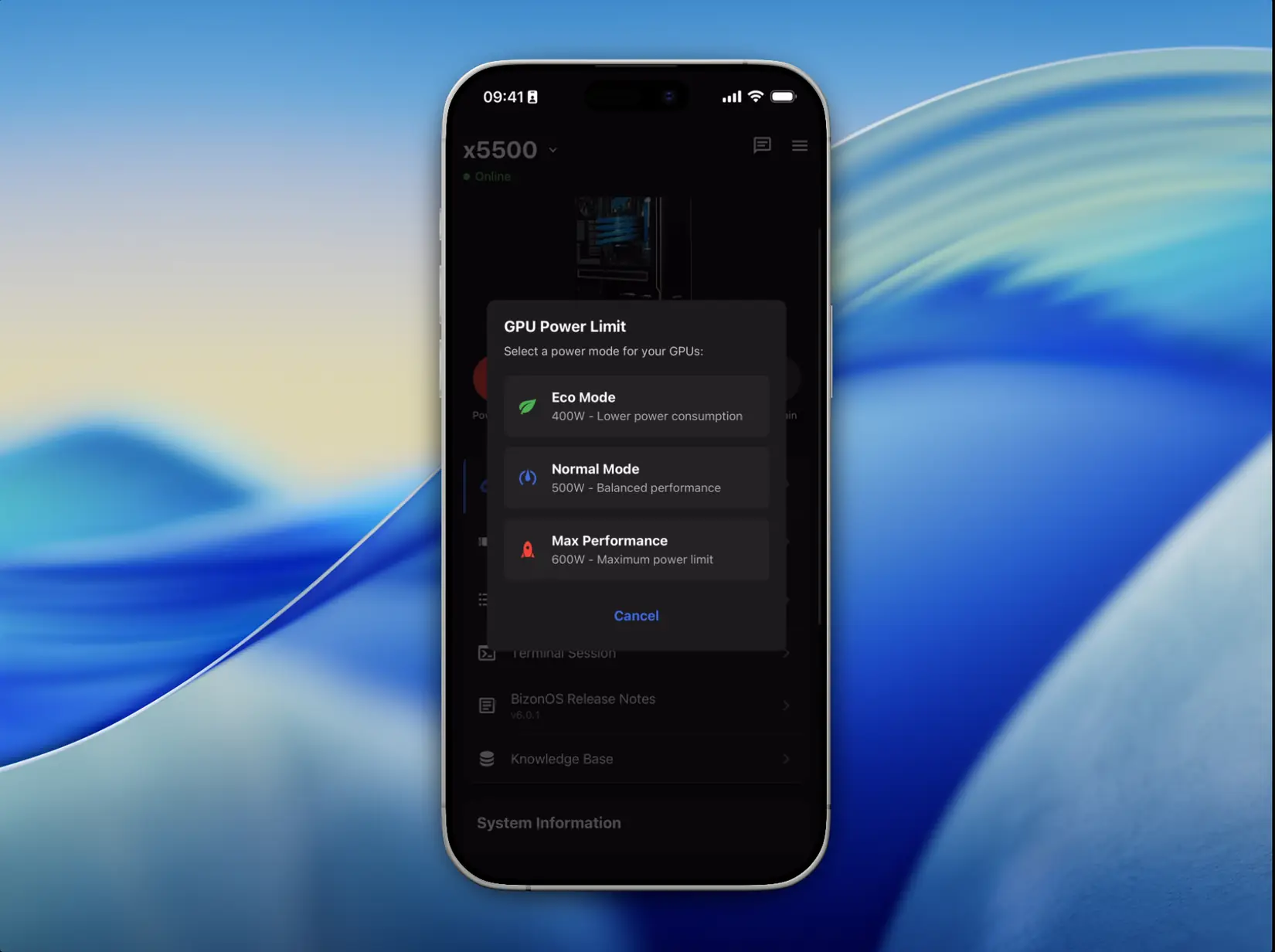 BIZON Remote Control 4