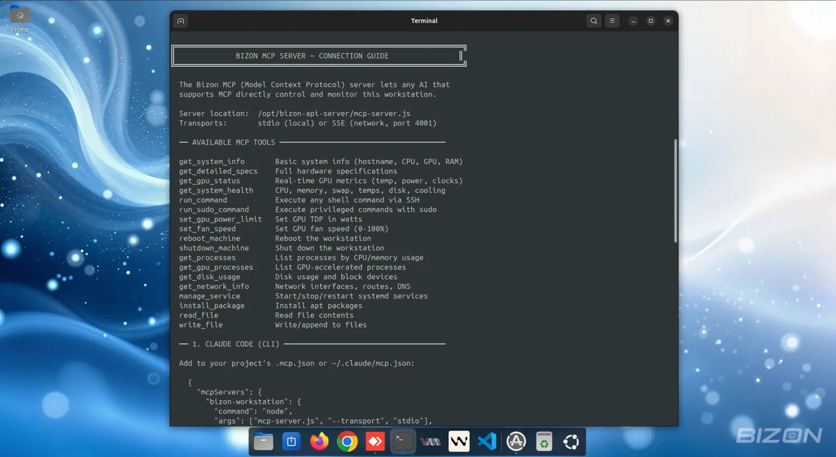 Bizon API and MCP Server