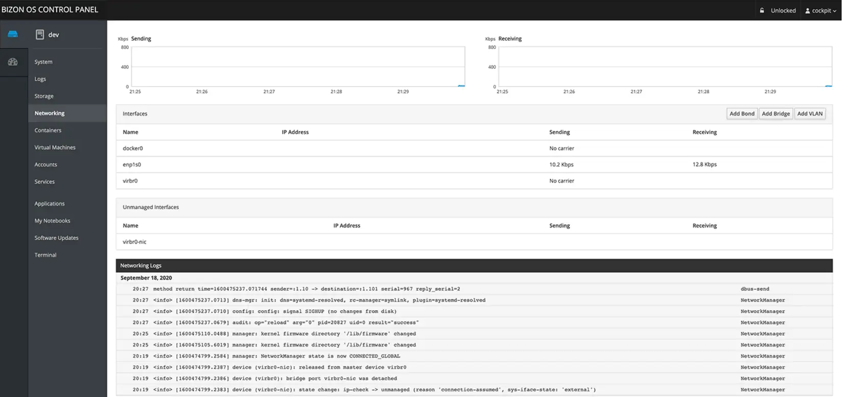 Bizon Control Panel Networking